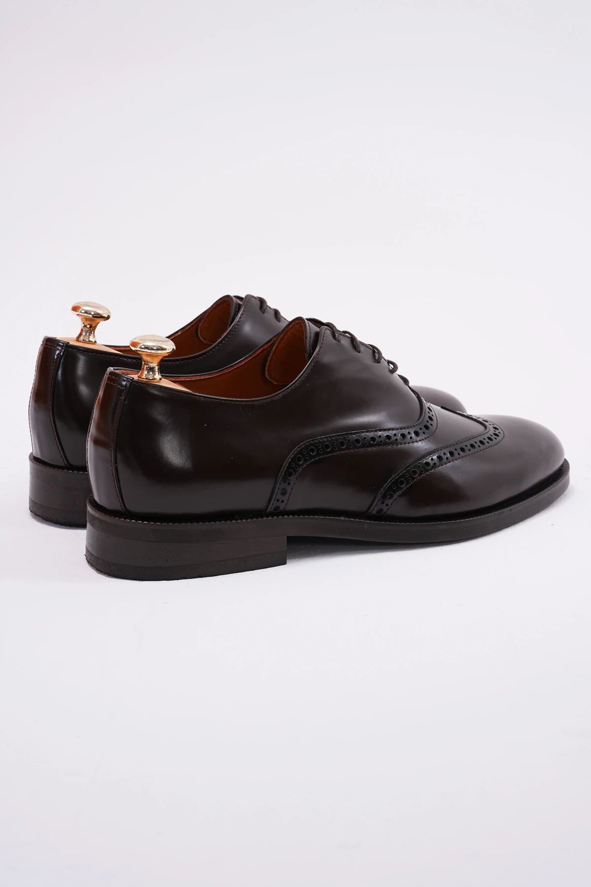 Brown Wingtip Laces Shoes